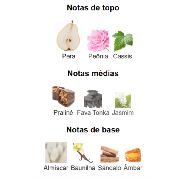 The Kingdom Lattafa Eau de Parfum – FRACIONADO 5ml - Imagem 3